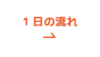 1日の流れ