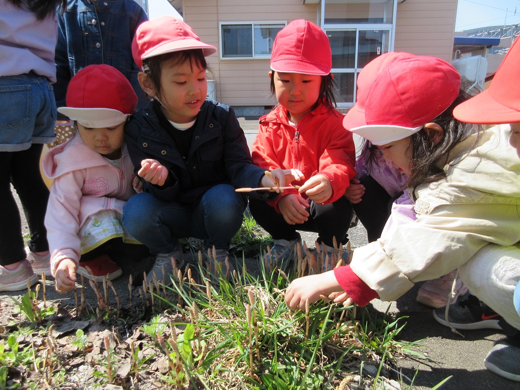 ４月１９日（火）