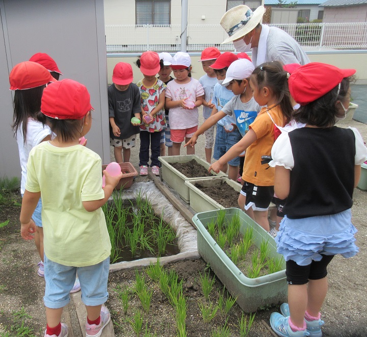 ７月６日（水）