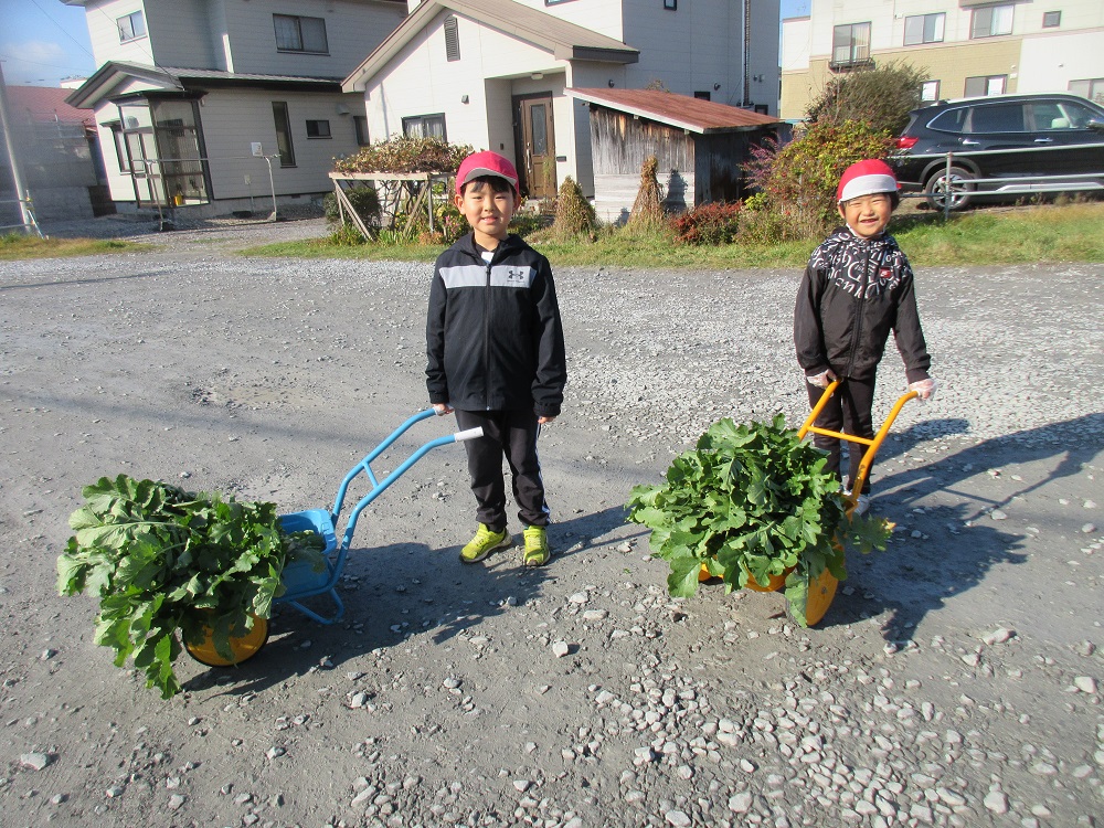 １１月９日（水）