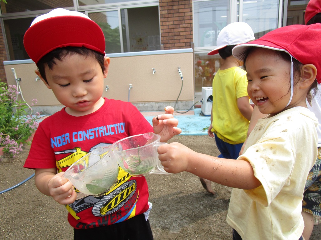 ７月１７日（水）