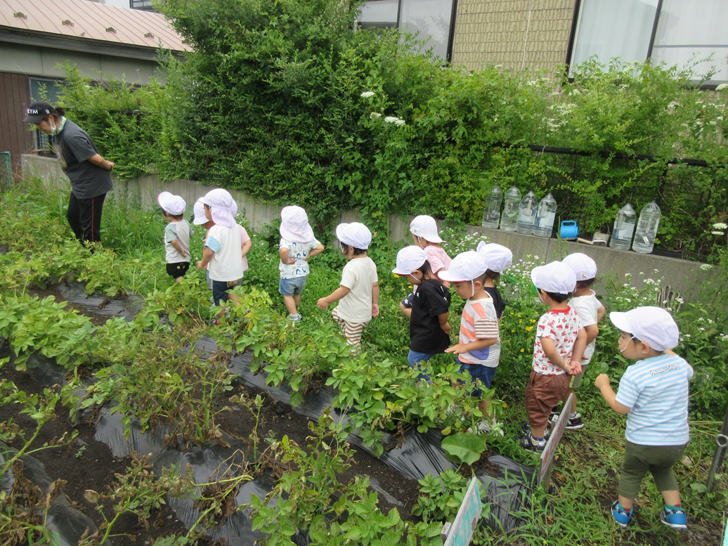 ７月２７日（土）