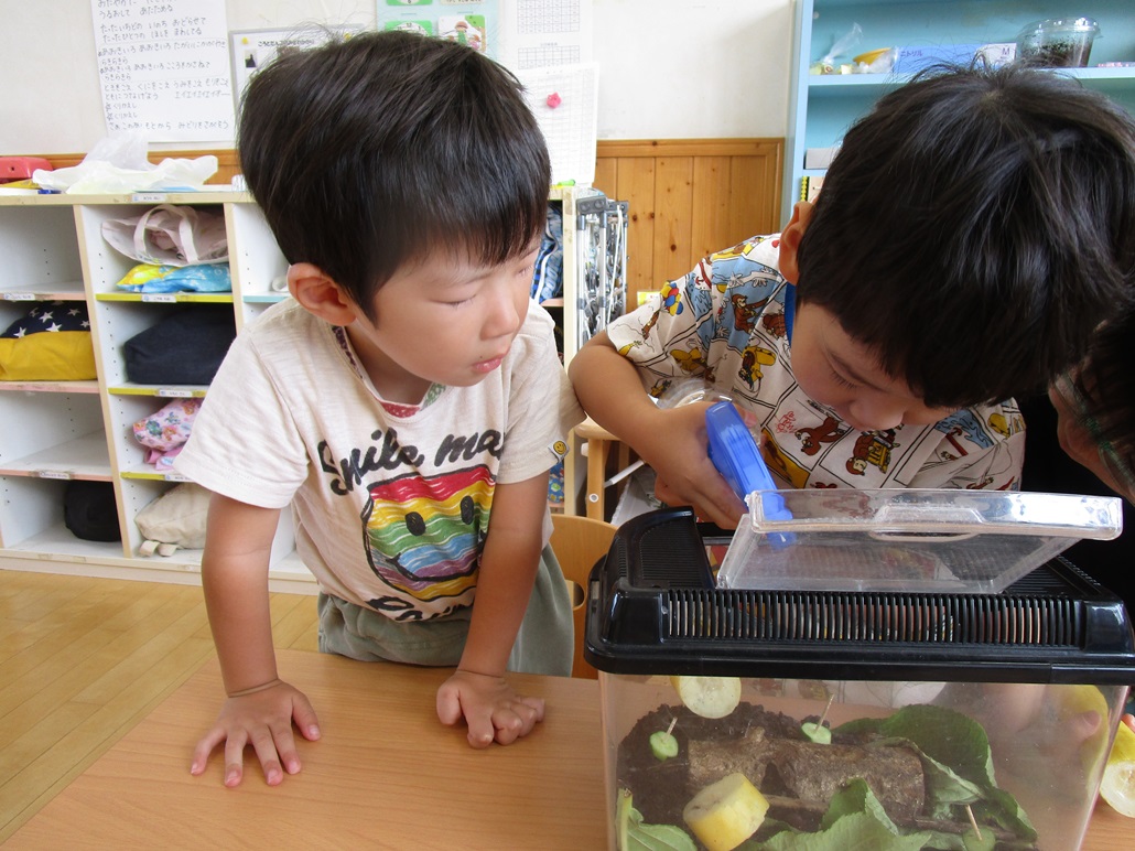 ９月１２日（木）