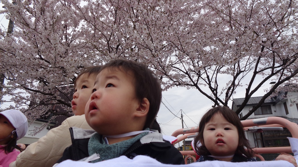 ４月３０日（水）