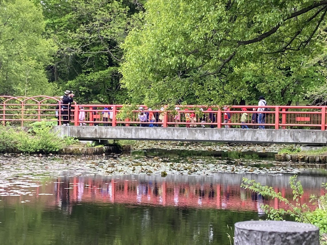 ５月２６日（月）