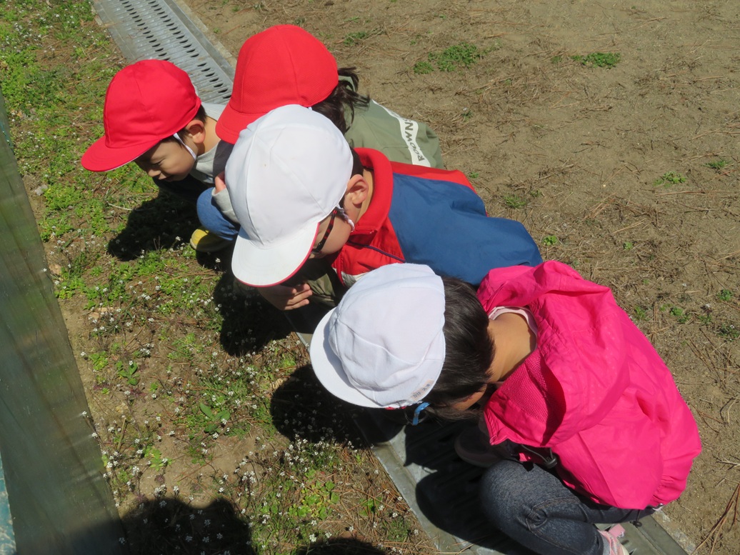 ４月１６日（木）