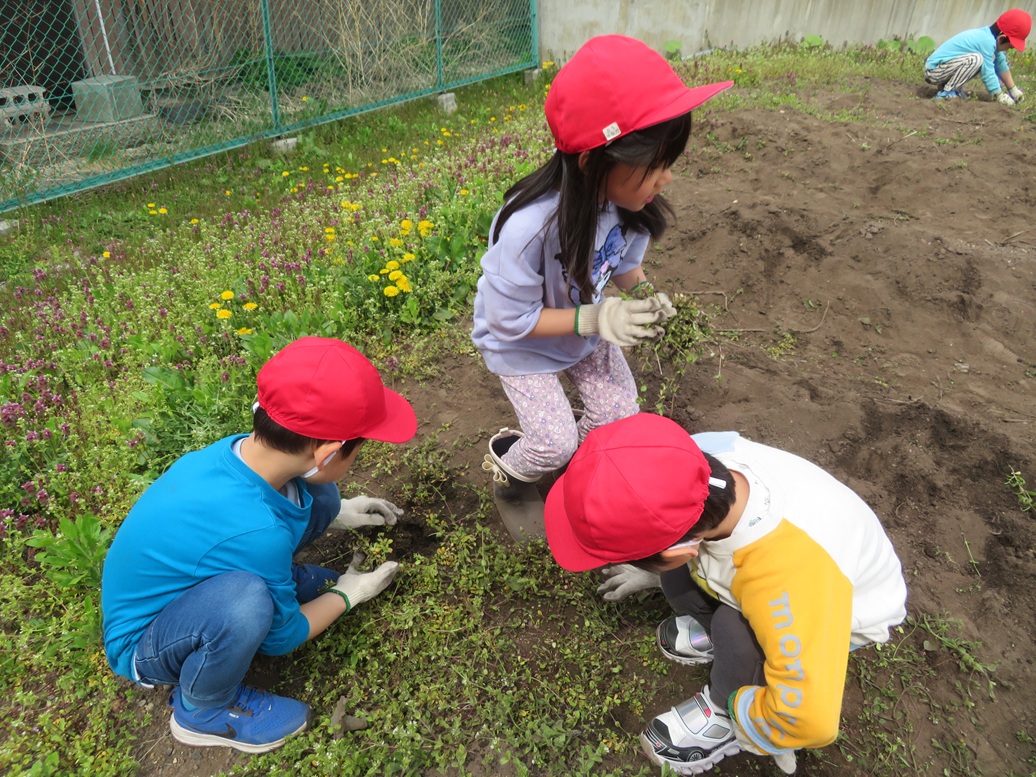 ４月２７日（月）