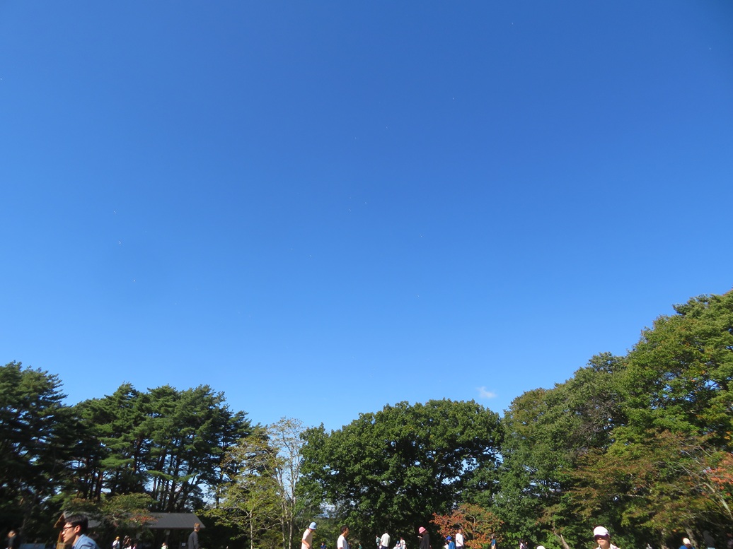 １０月１０日（土）