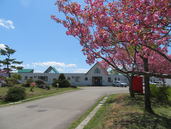 明生園　今年も桜が満開です