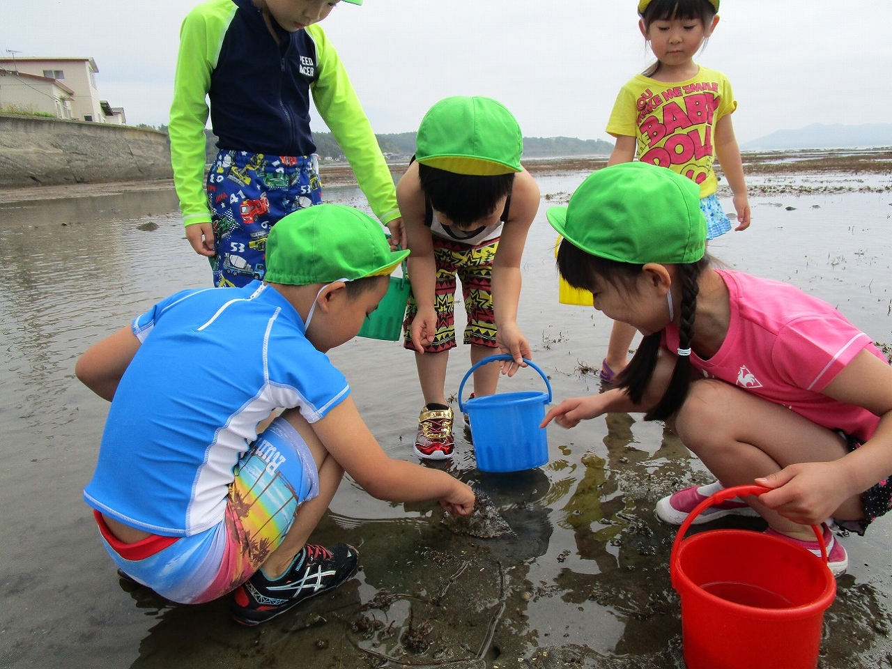 当別保育園　海浜学習