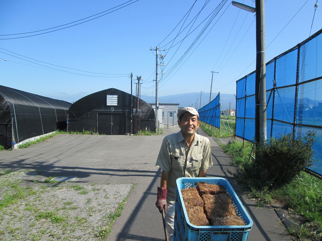 おしま菌床きのこセンター　夏の作業風景