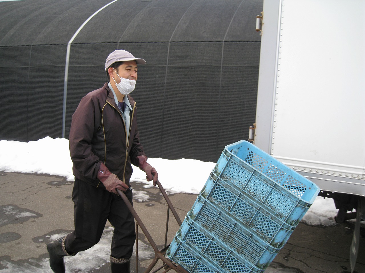 おしま菌床きのこセンター「一輪車で運搬作業」