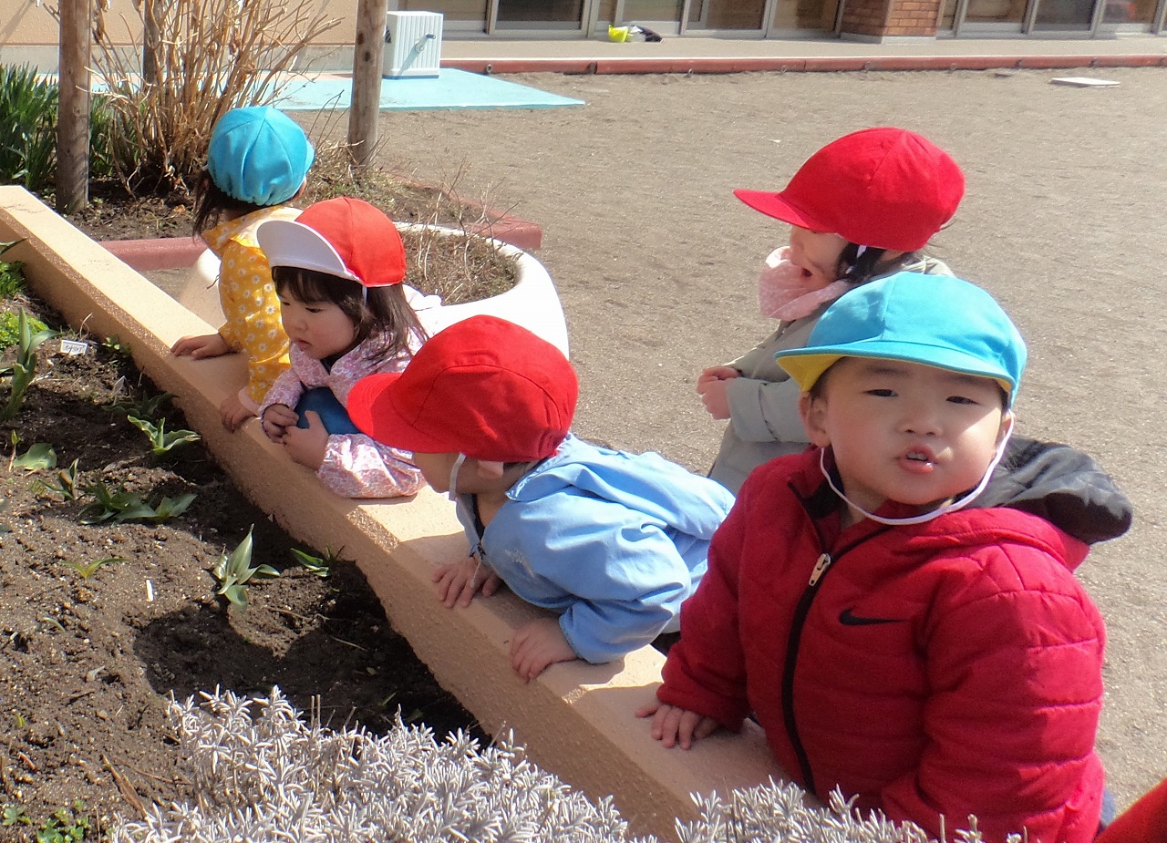 七重浜こども園　「虫探し」