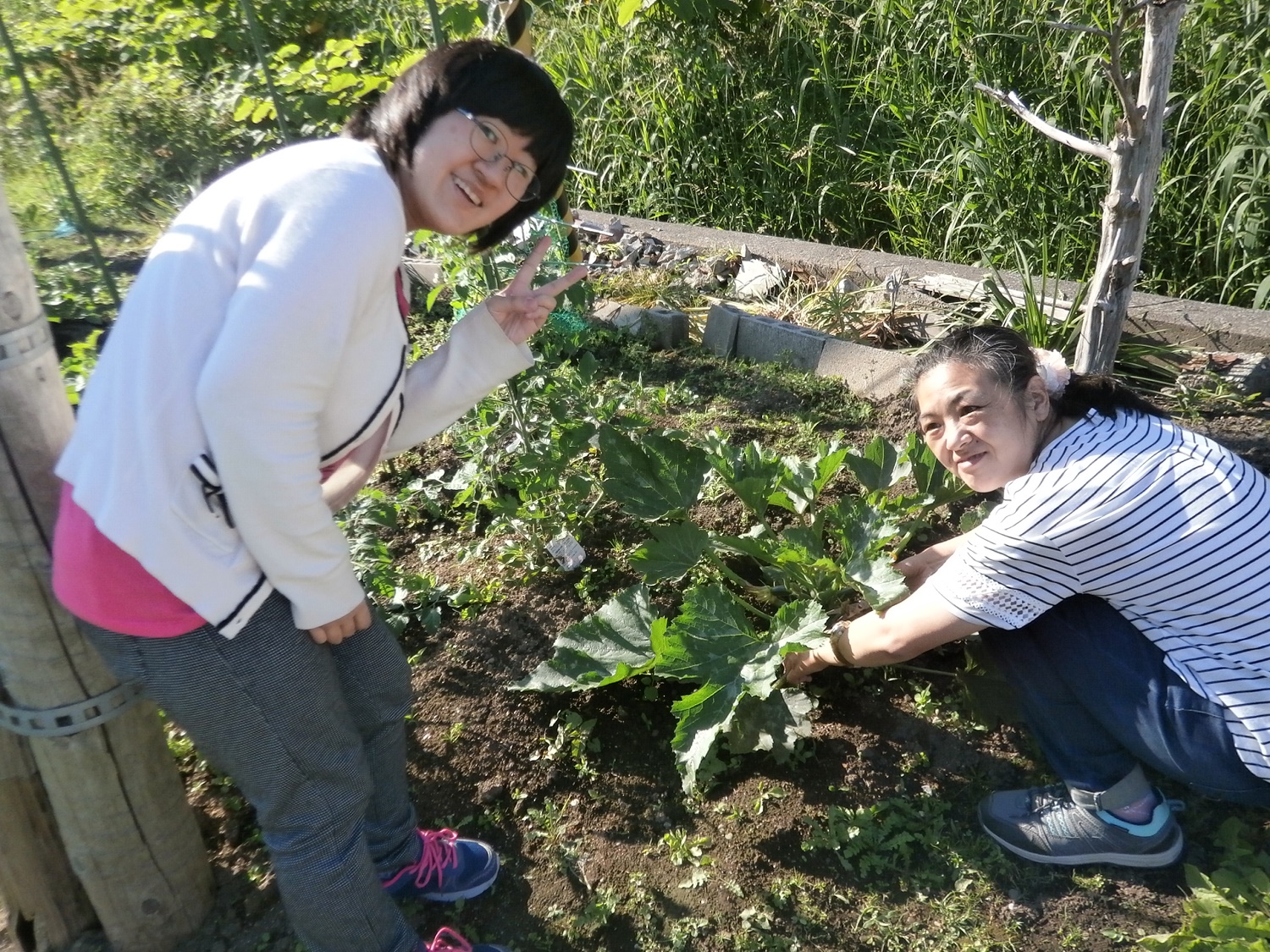 サポートかわつき　「野菜作り（休日の様子）」