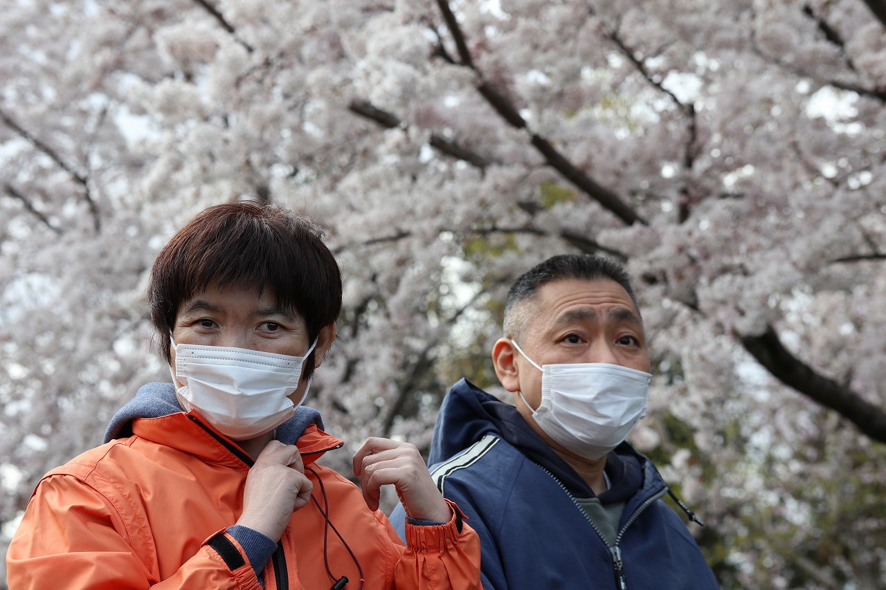 函館青年寮通所部　「桜の木の下で」