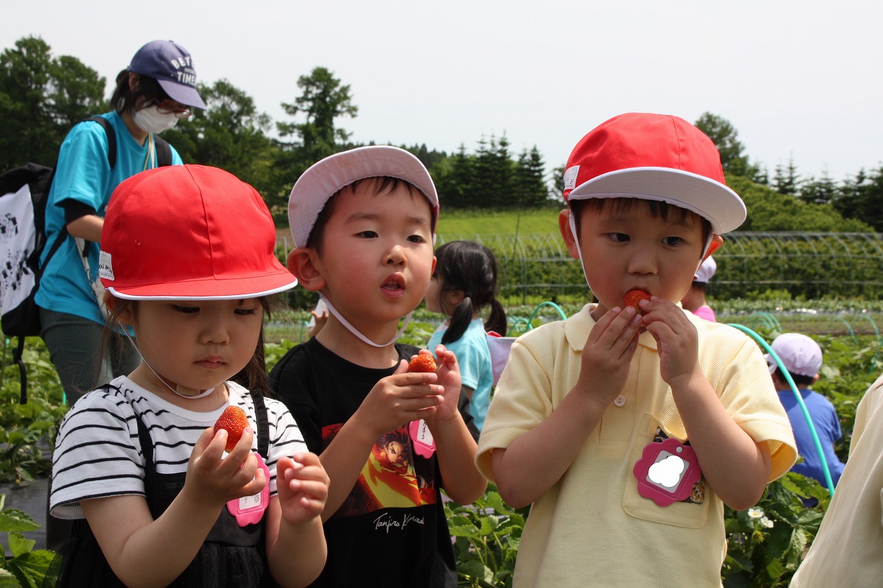 ゆうあい幼稚園　「いちご狩り」