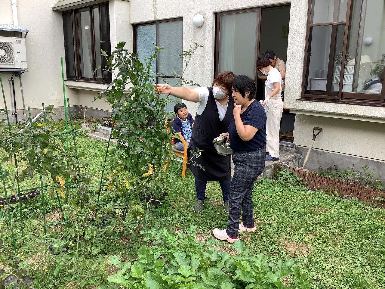 星が丘寮　「５寮：夏野菜収穫！」