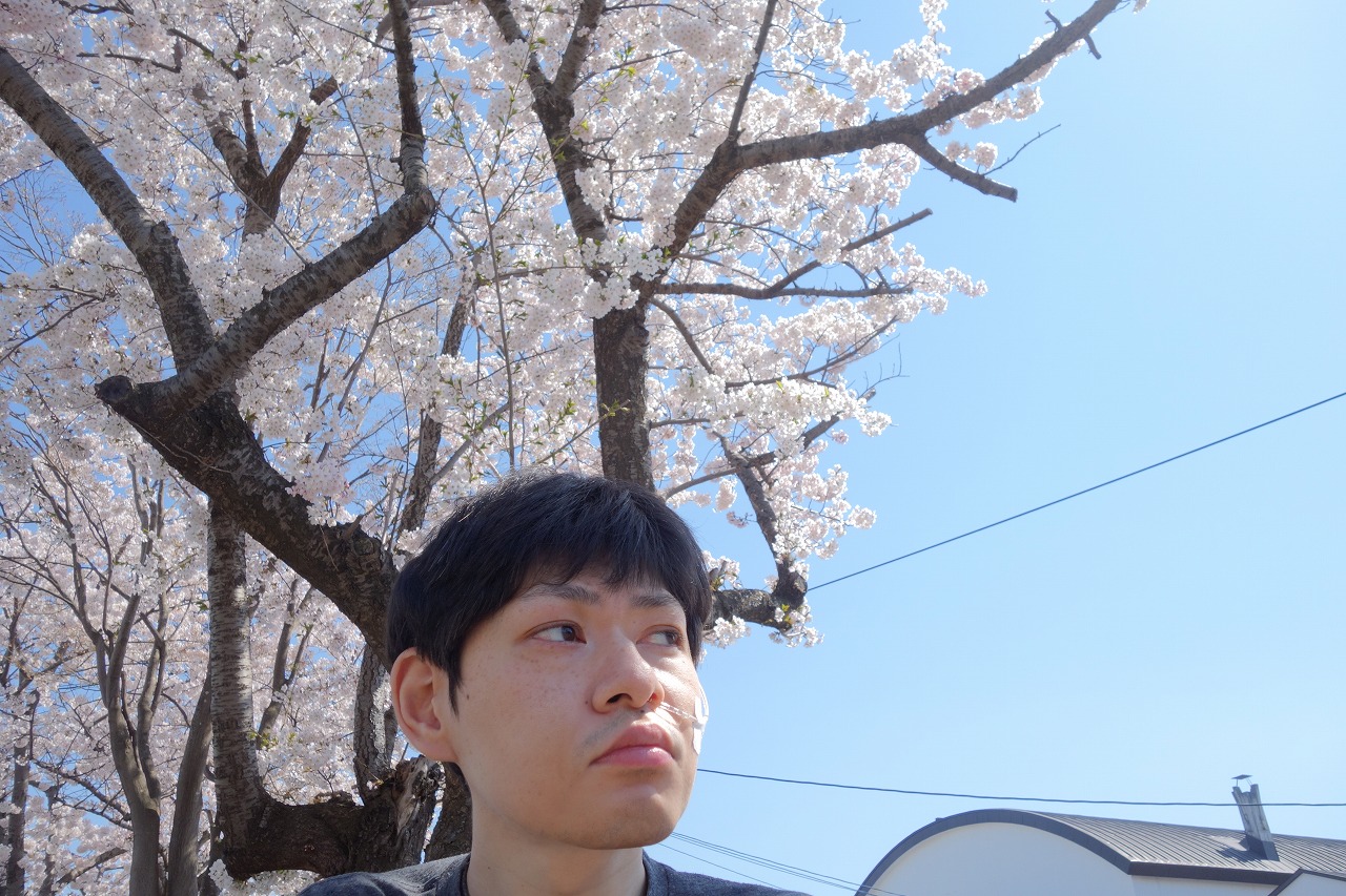 函館青年寮通所部　にじ　「桜満開散歩道！」