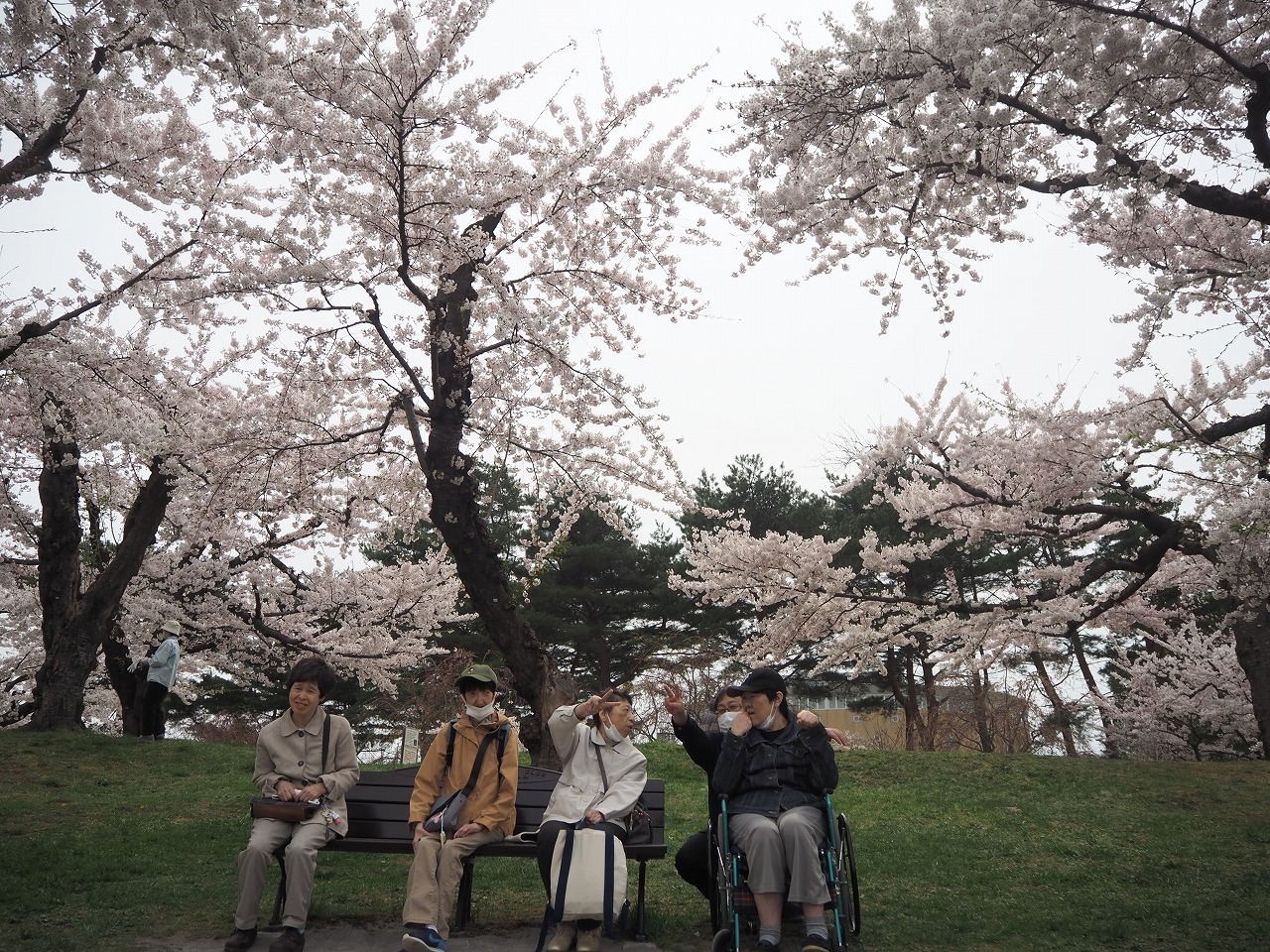 函館青年寮 　「花見」