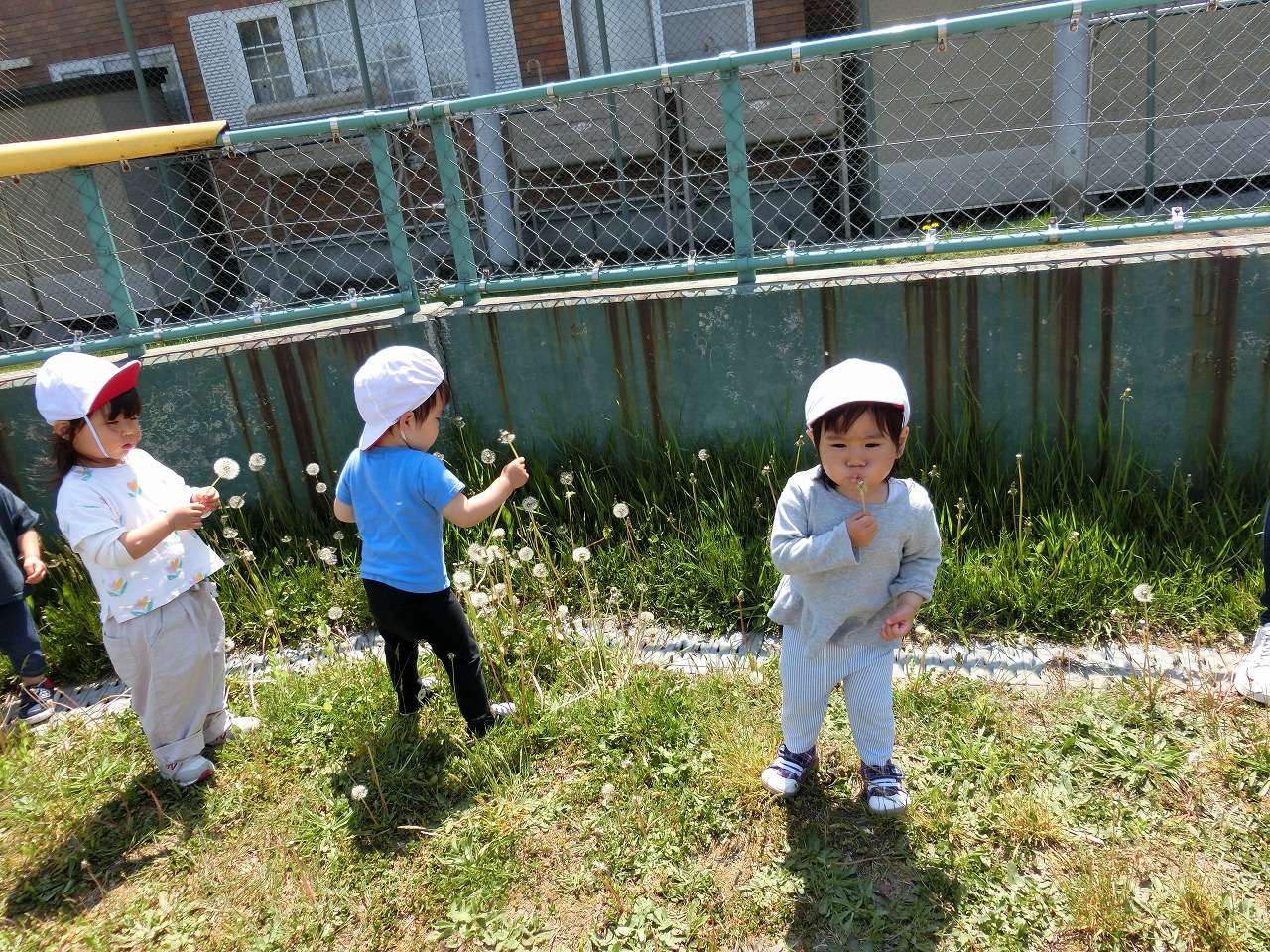 七重浜こども園　「散歩」