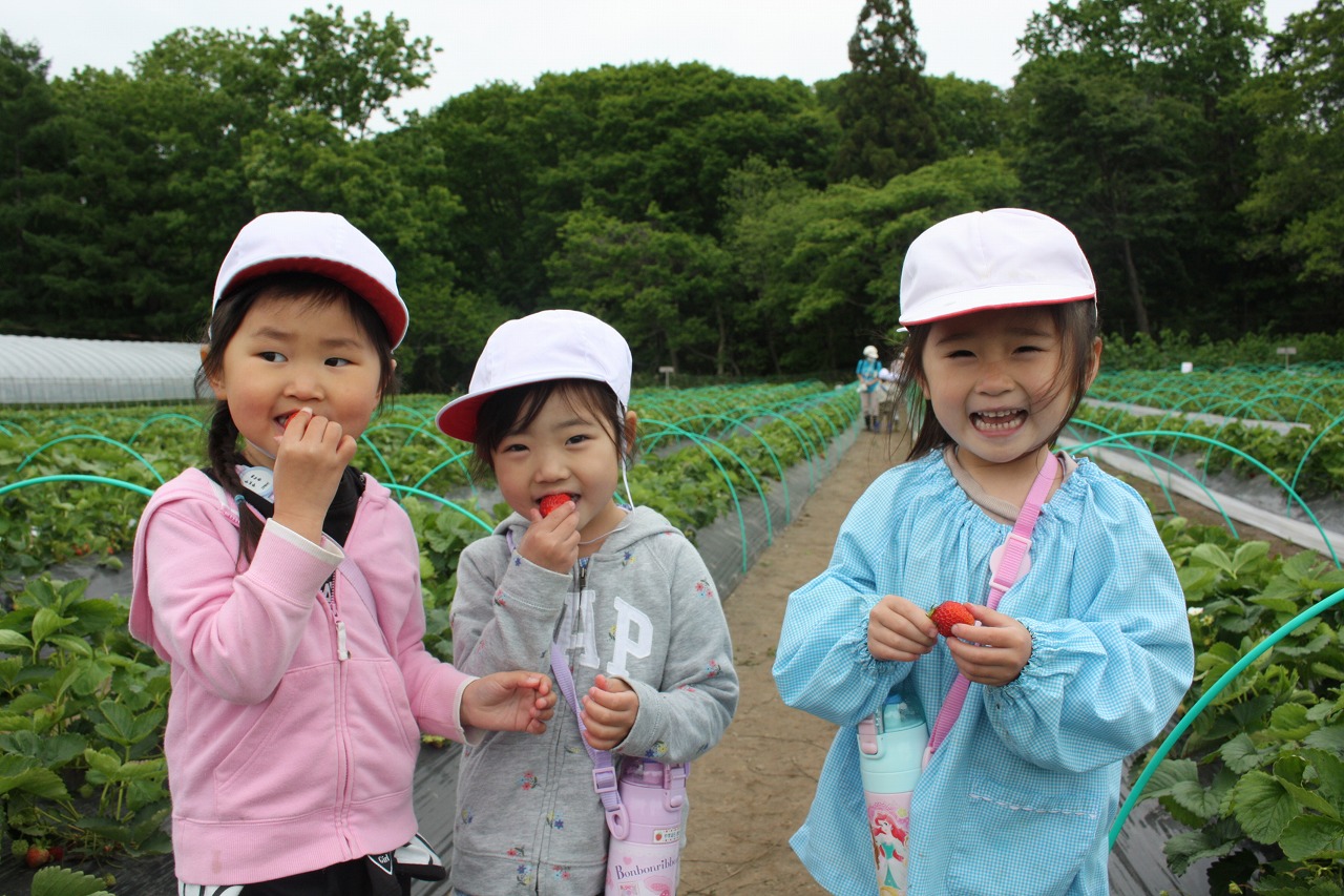 ゆうあい幼稚園「いちご狩り」