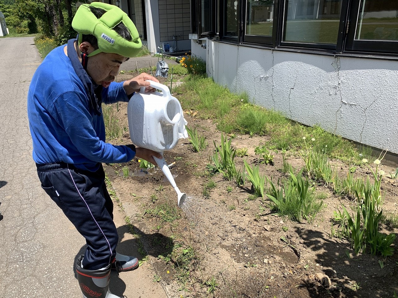 新生園　「自家菜園」