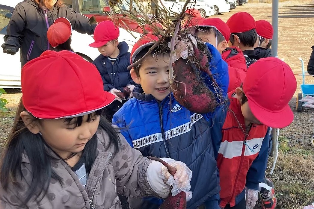 七重浜こども園　「5歳児　初めてのサツマイモほり」