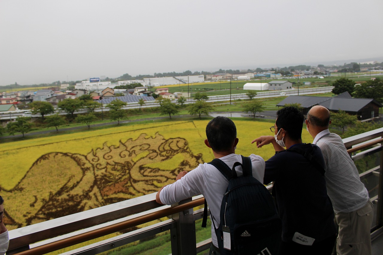 新生園　「青森旅行で田んぼアート鑑賞」