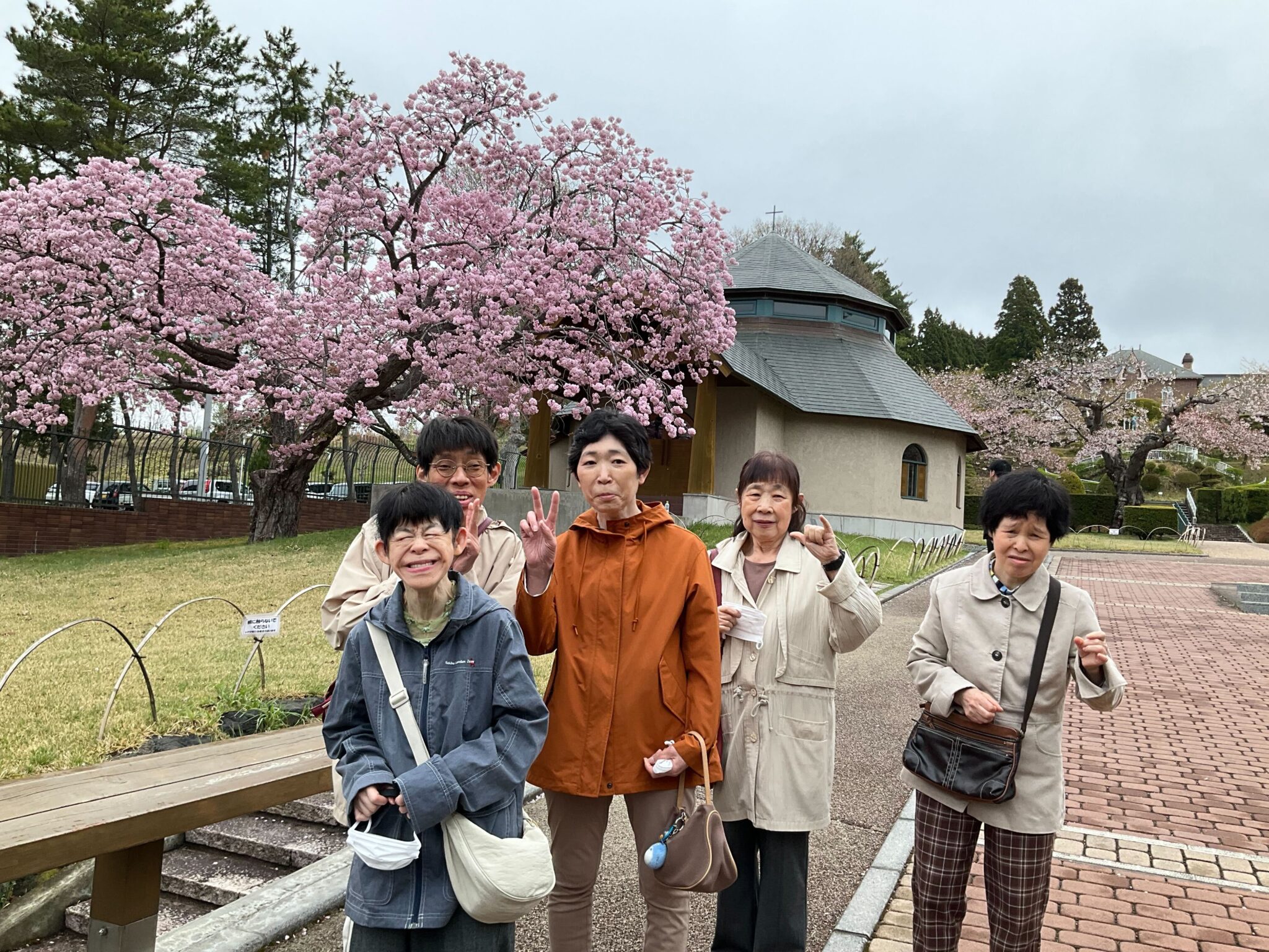 函館青年寮なずな　お花見ツアー