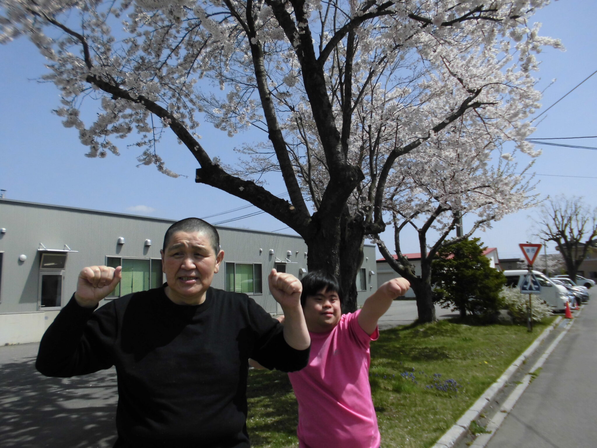 ワークショップはこだて　「桜の下で」