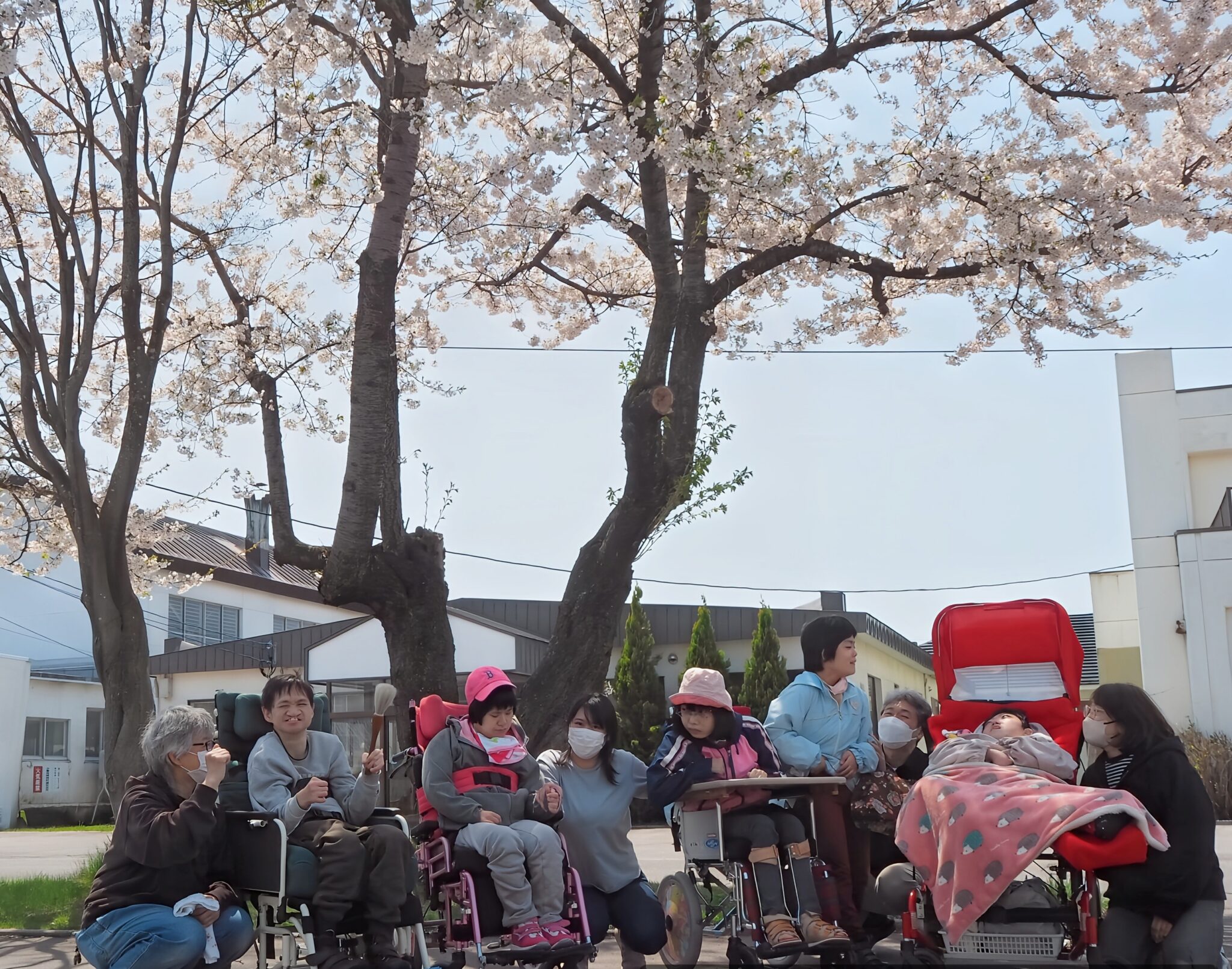 函館青年寮通所部桜花爛漫～お花見日和～