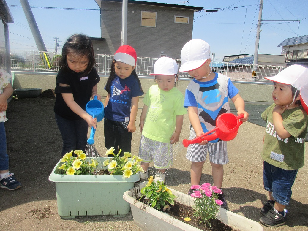七重浜こども園　花の水やり