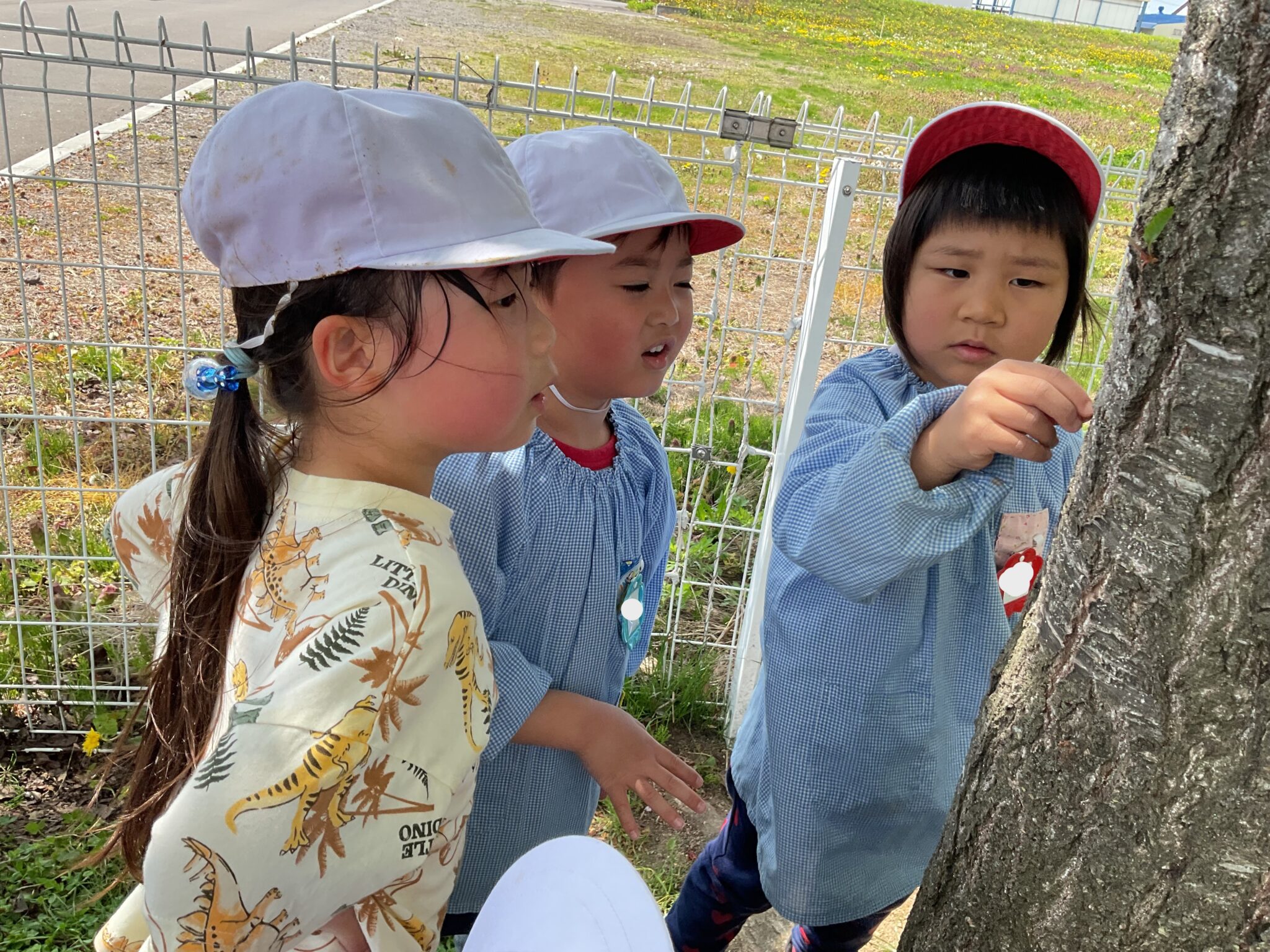 ゆうあい幼稚園「園庭で虫探し」