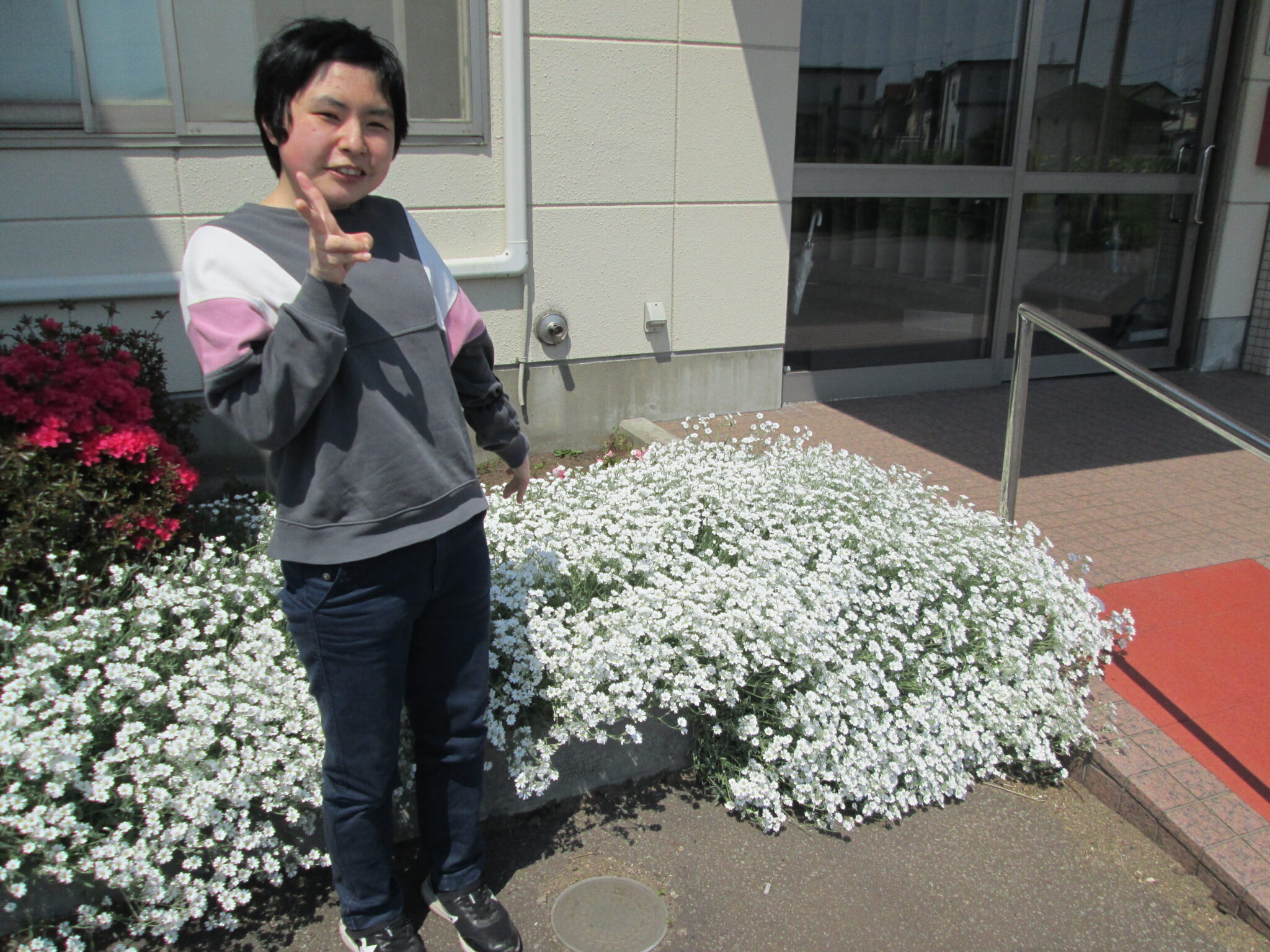 おしま菌床きのこセンター（花壇の花が咲きました）