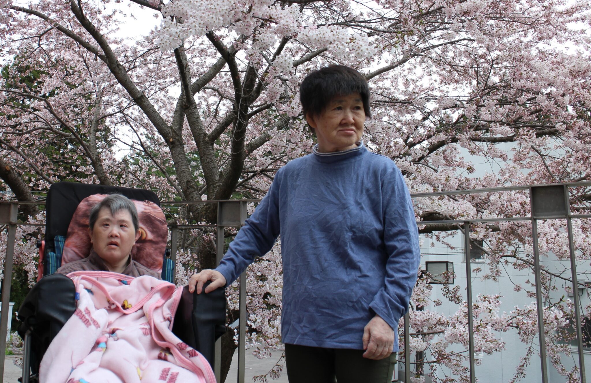 侑愛荘　花見