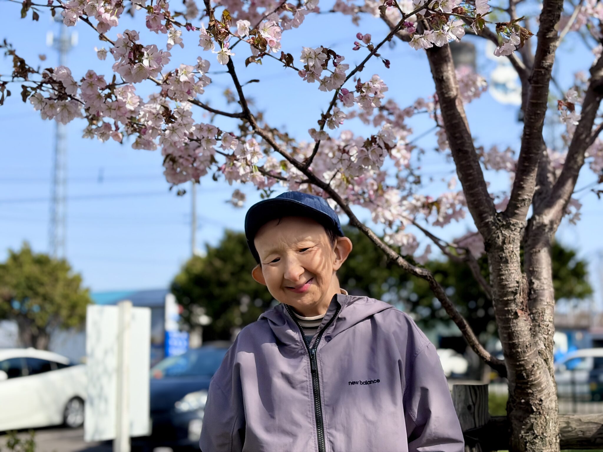 函館青年寮通所部「公園ウォーキング 桜」