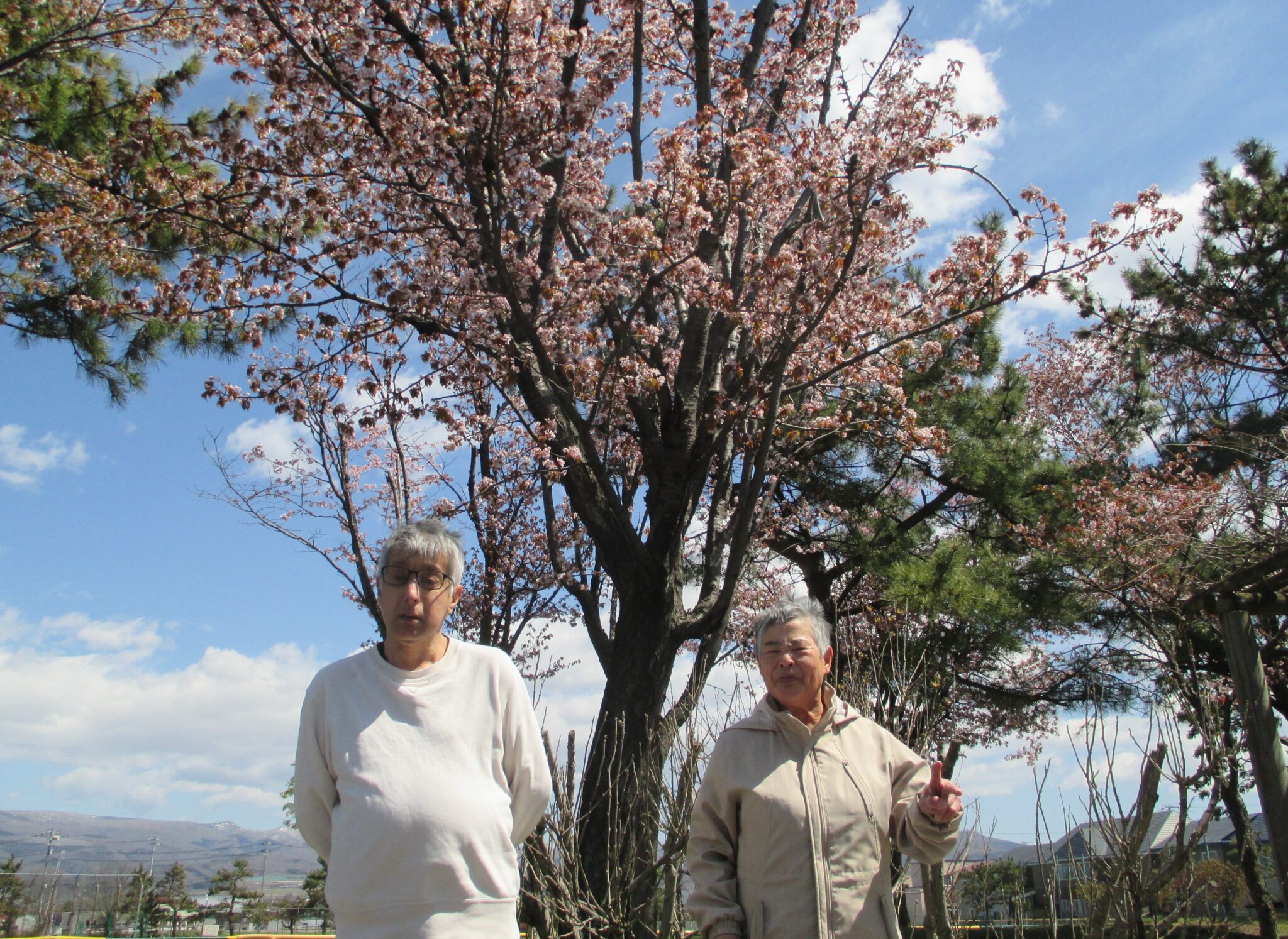 おしま屋　公園・散歩